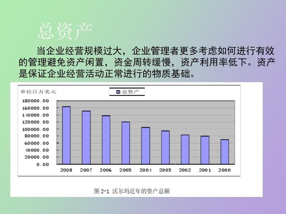 沃尔玛财务报表分析_第5页