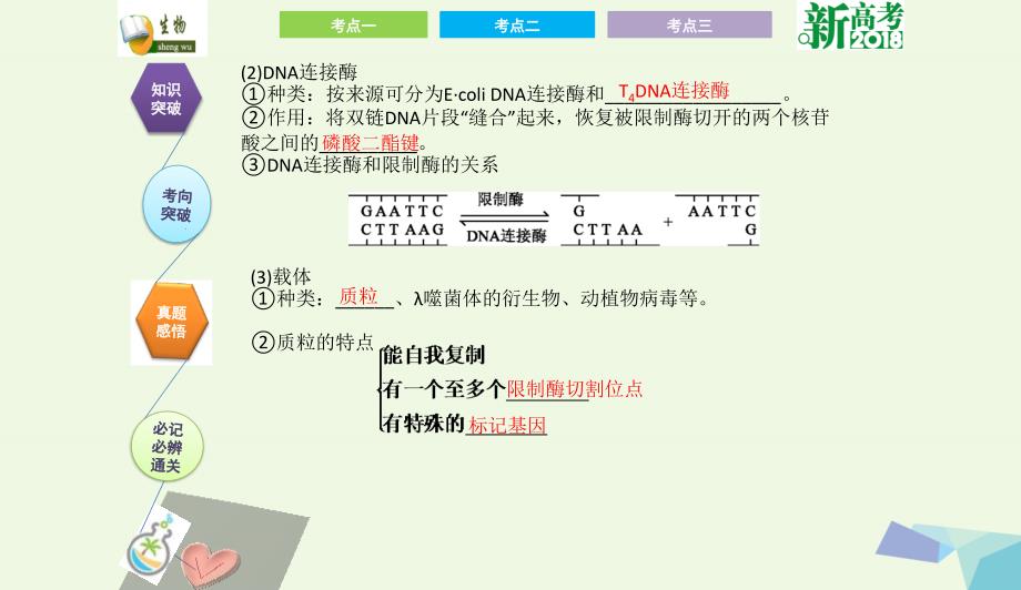 全国卷地区专用高考生物总复习第十三单元现代生物科技专题第1讲基因工程课件0731328_第3页