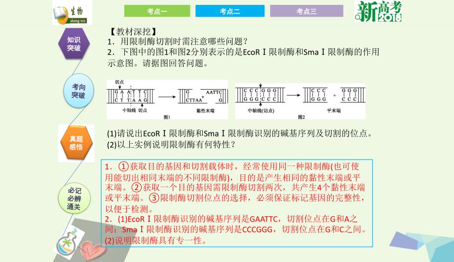 全国卷地区专用高考生物总复习第十三单元现代生物科技专题第1讲基因工程课件0731328_第4页