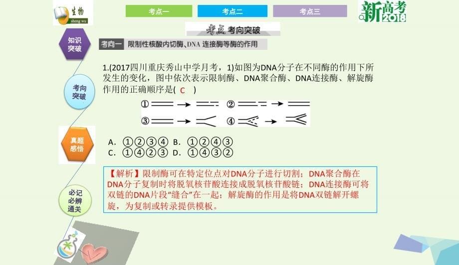 全国卷地区专用高考生物总复习第十三单元现代生物科技专题第1讲基因工程课件0731328_第5页