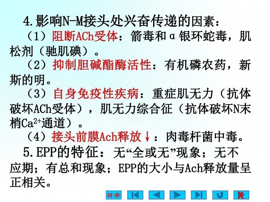 骨骼肌的收缩原理.ppt_第5页