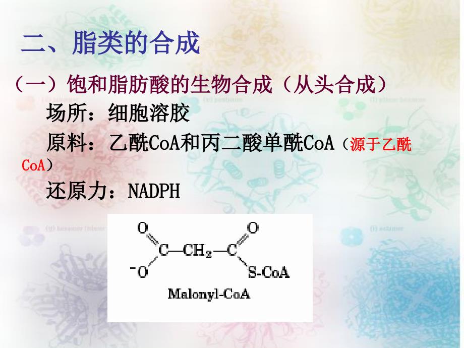 第26章脂类的生物合成_第4页