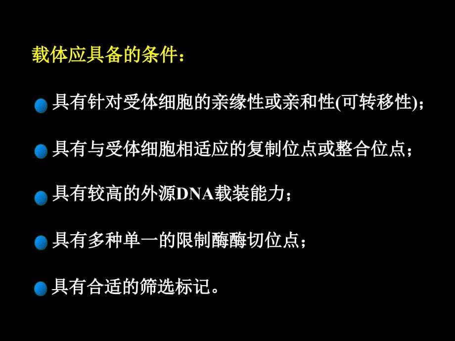 第二章2基因克隆载体99_第5页