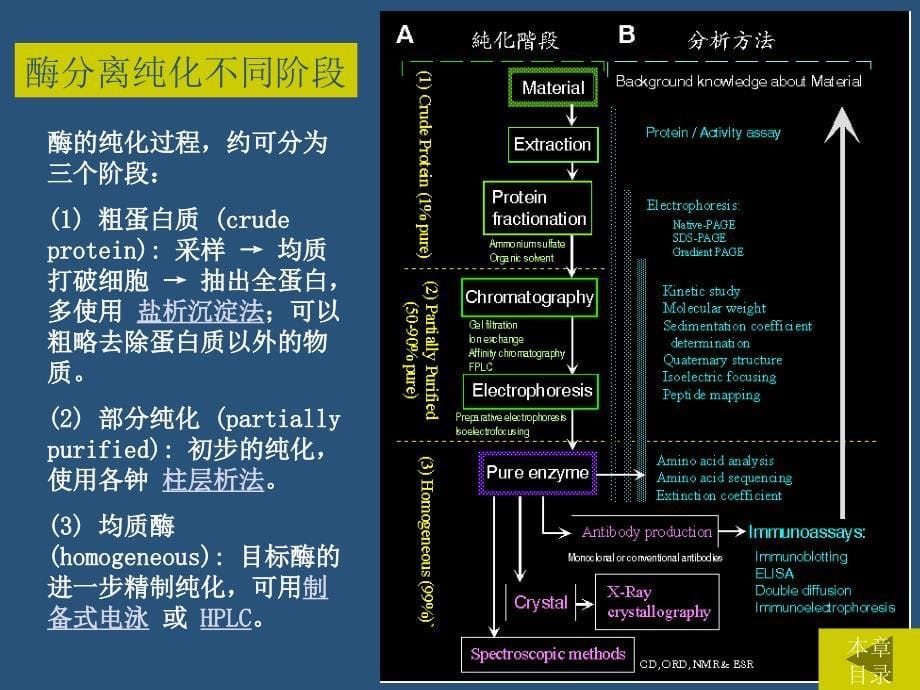 《酶的分离纯化》PPT课件_第5页