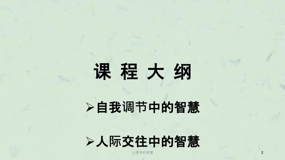 心理学的智慧课件_第2页