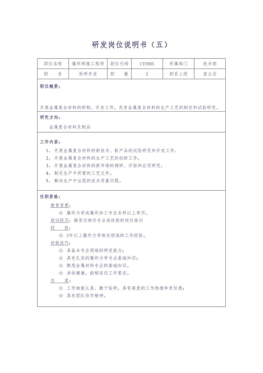 01-某公司研发类岗位说明书（天选打工人）.docx_第5页