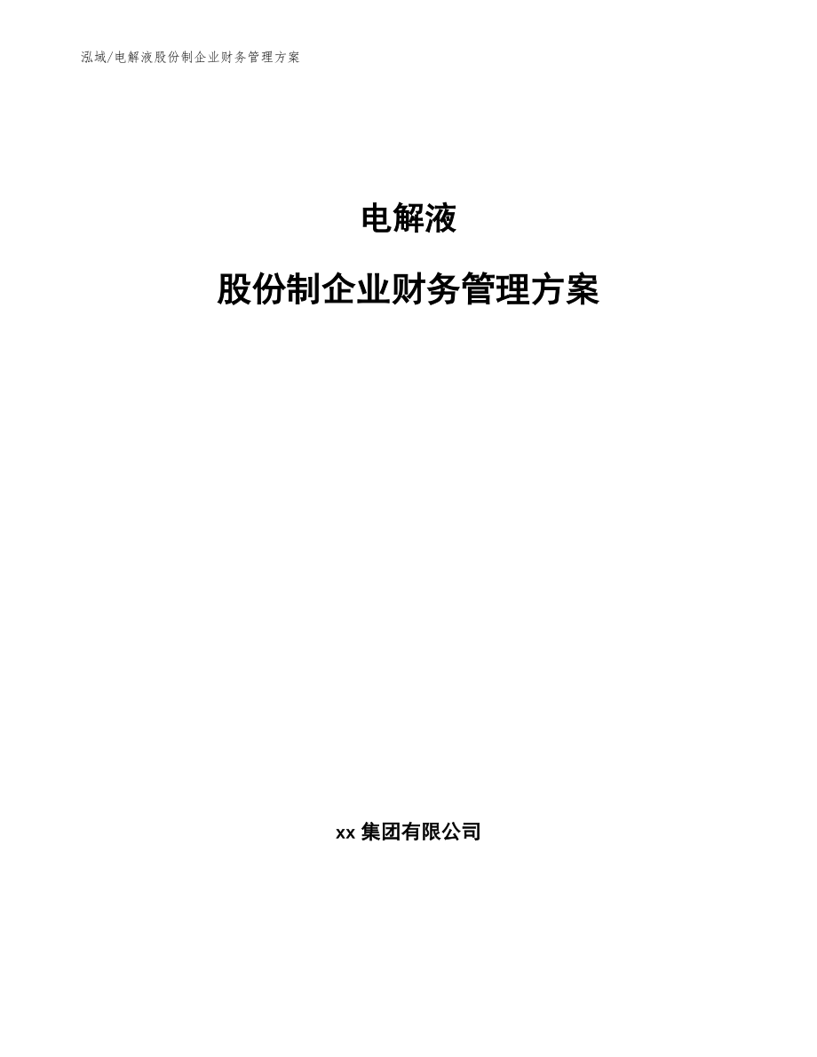 电解液股份制企业财务管理方案_第1页