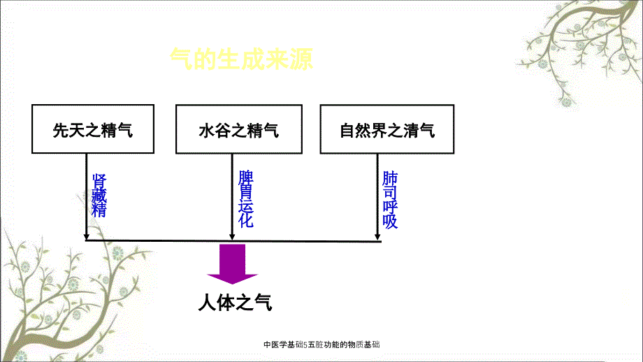 中医学基础5五脏功能的物质基础_第4页