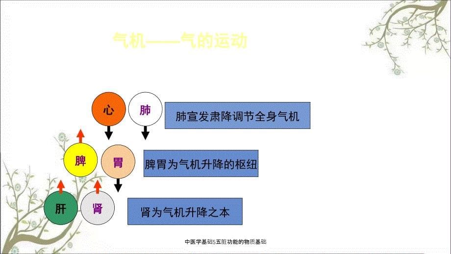 中医学基础5五脏功能的物质基础_第5页