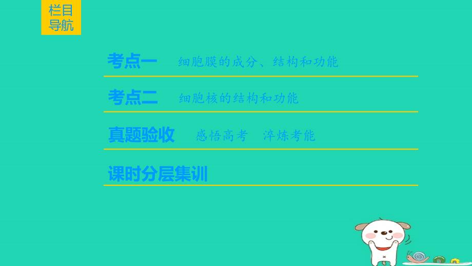 全国版高考生物一轮复习第2单元细胞的基本结构与物质的输入和输出第1讲细胞膜和细胞核课件_第2页