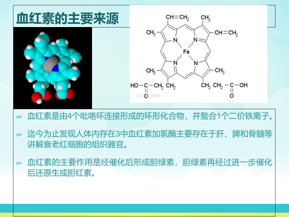 胆色素的代谢与黄疸_第4页