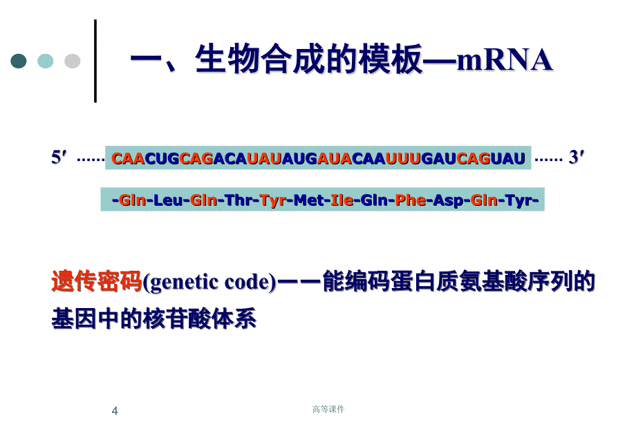 蛋白质生物合成—翻译及翻译后过程#上课课堂_第4页