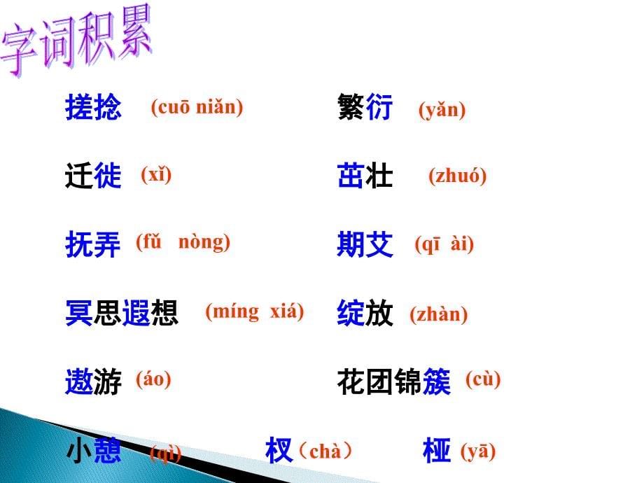 《再塑生命的人》课件3（共35张）_第5页