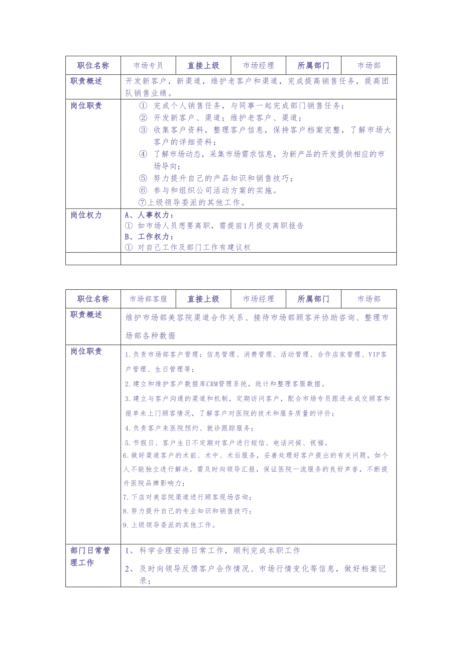 医美机构市场部人员岗位职责说明书（天选打工人）.docx_第2页
