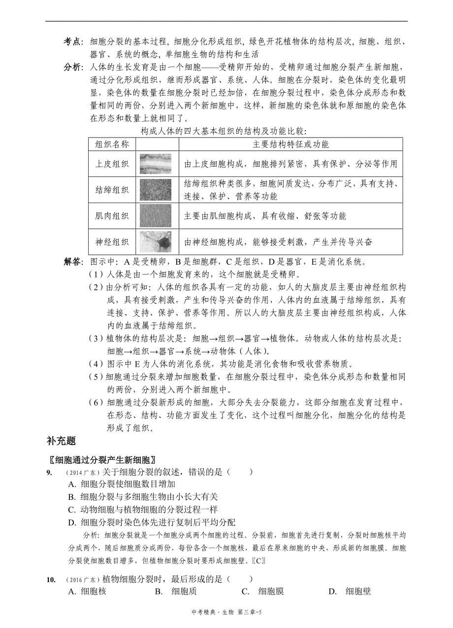 黄冈中考精典生物基础篇第3章生物体的结构层次_第5页