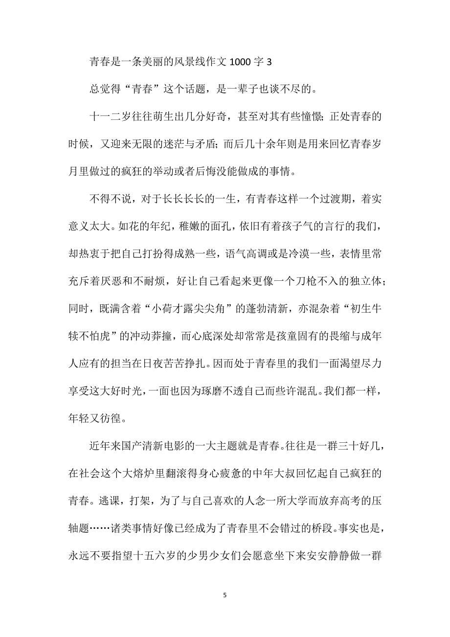 青春是一条美丽的风景线作文1000字.doc_第5页