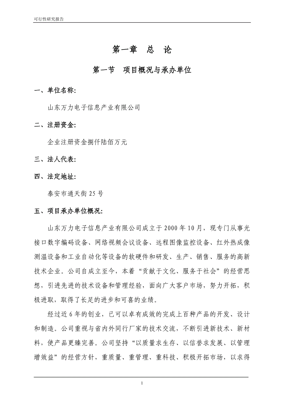 泰安市万力电子产业园可研报告_第1页