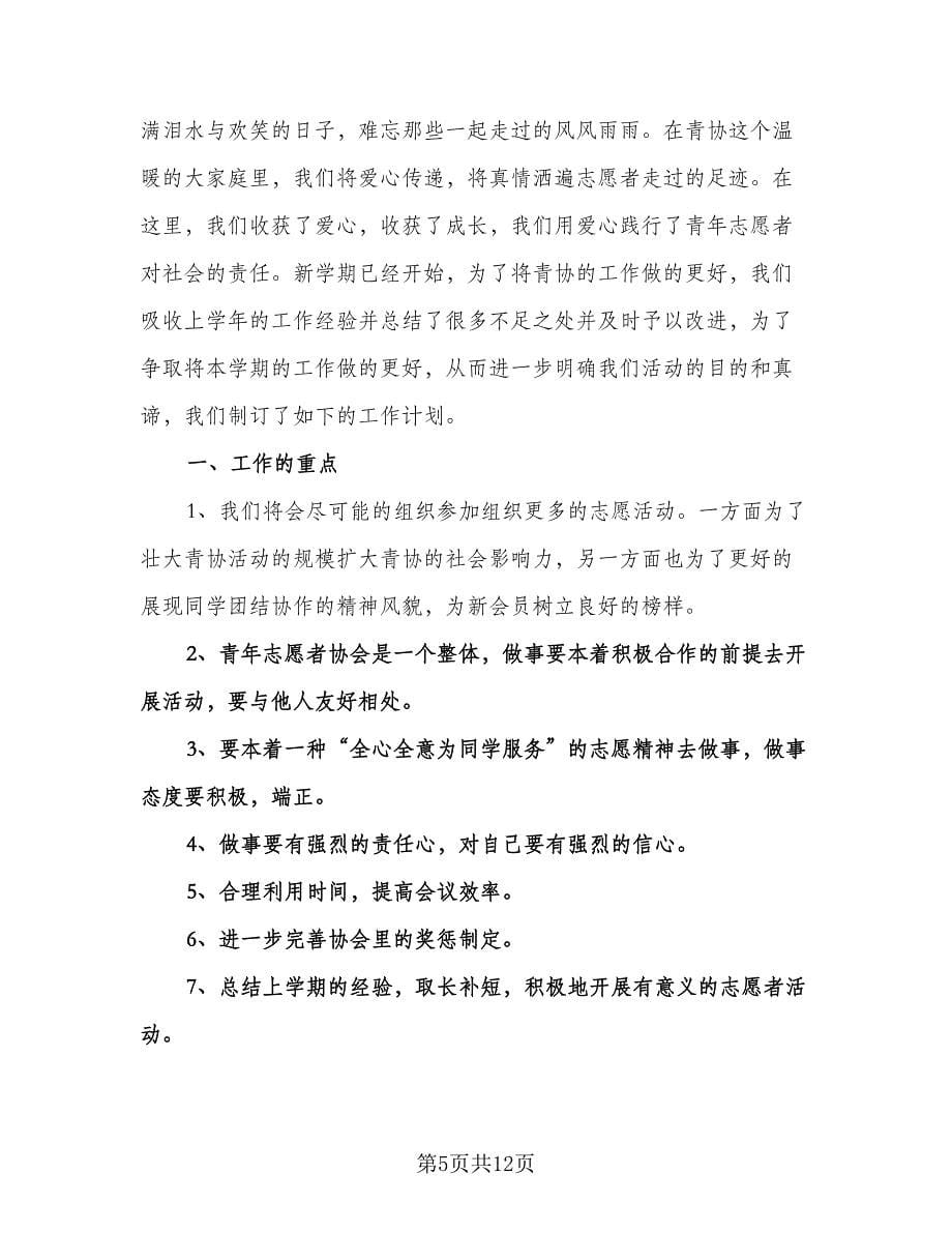 青年志愿者协会工作计划范本（三篇）.doc_第5页