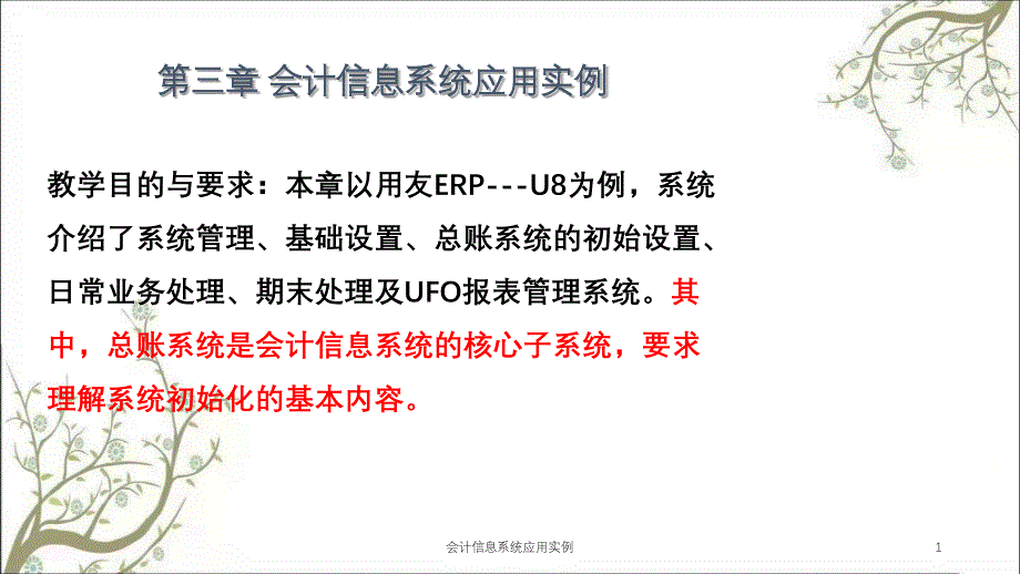 会计信息系统应用实例课件_第1页