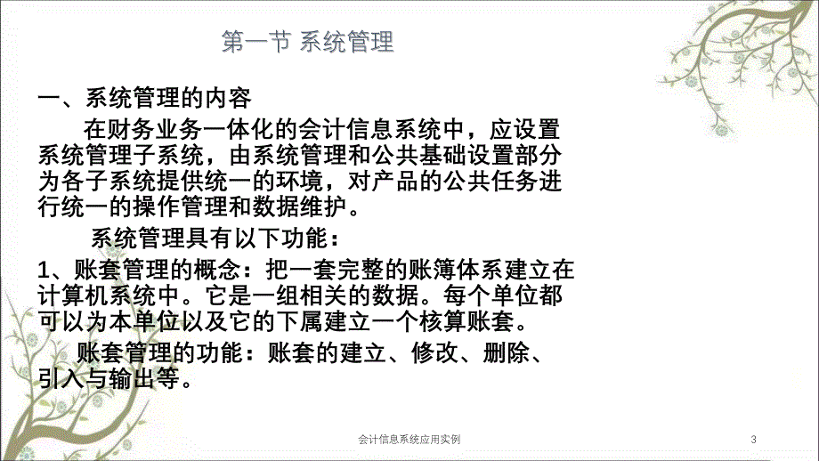 会计信息系统应用实例课件_第3页