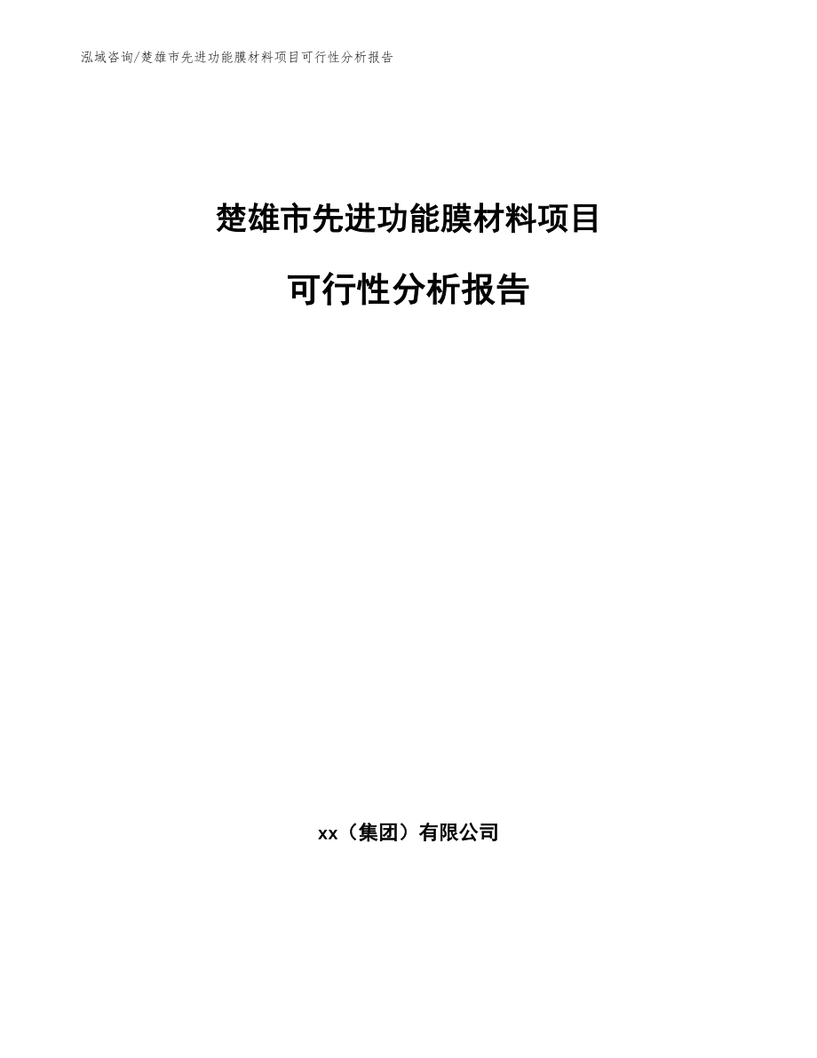 楚雄市先进功能膜材料项目可行性分析报告_参考模板_第1页