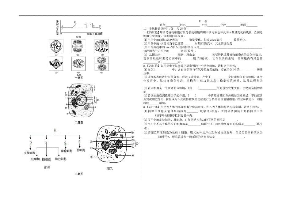 第六章 细胞的生命历程复习题（含答案） 高一上学期 人教版必修1.doc_第5页