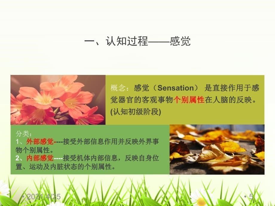 心理与精神护理心理过程与个性文档资料_第5页