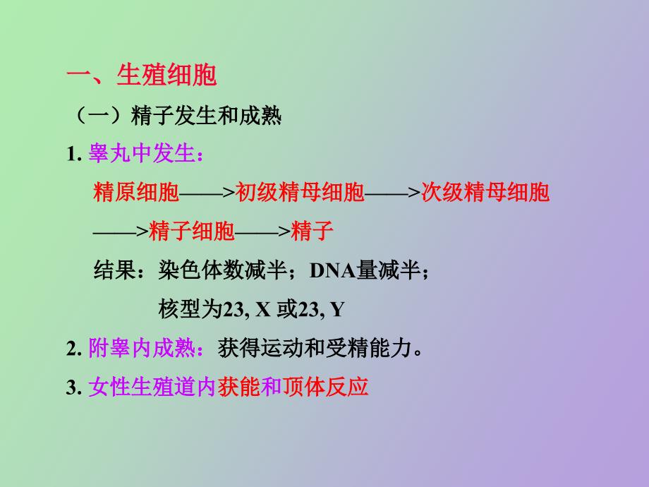 受精及胚胎早期发生_第2页