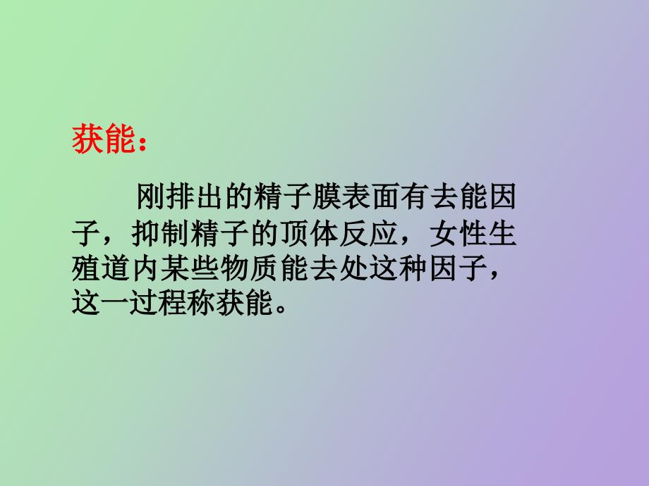 受精及胚胎早期发生_第3页