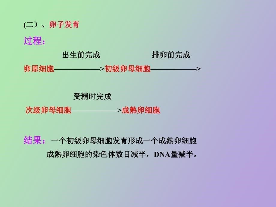 受精及胚胎早期发生_第5页