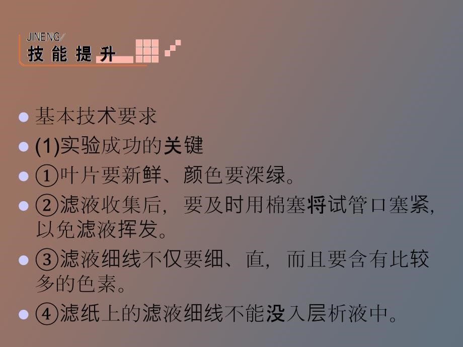 绿叶中色素的提取和分离_第5页