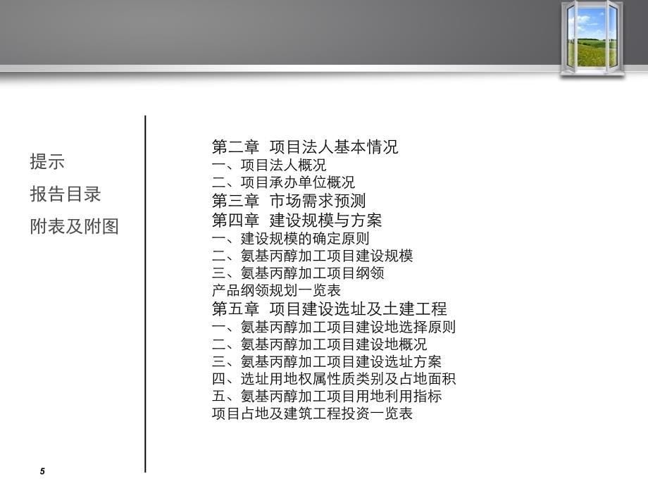 氨基丙醇加工项可行性研究报告_第5页