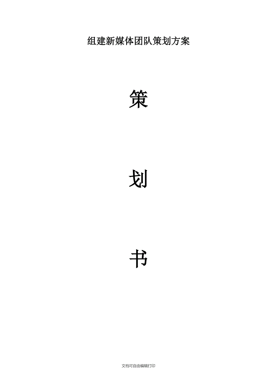 网信部新媒体团队策划书_第1页