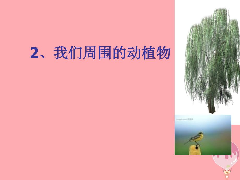 三年级科学上册 1.3 我们周围的动植物1 青岛版五四制_第1页