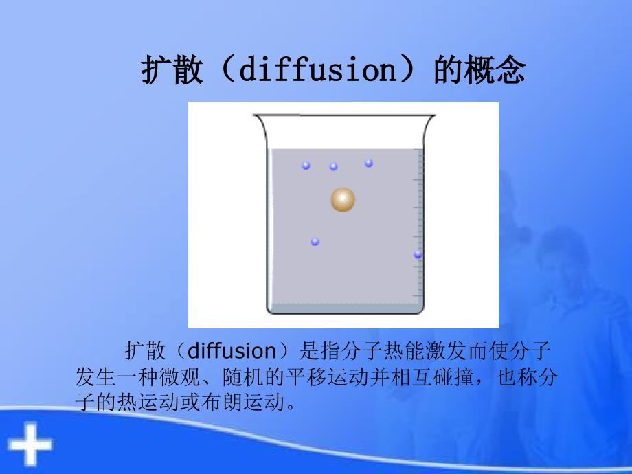 dwi基本原理及其在脑部疾病中的应用精选文档_第4页