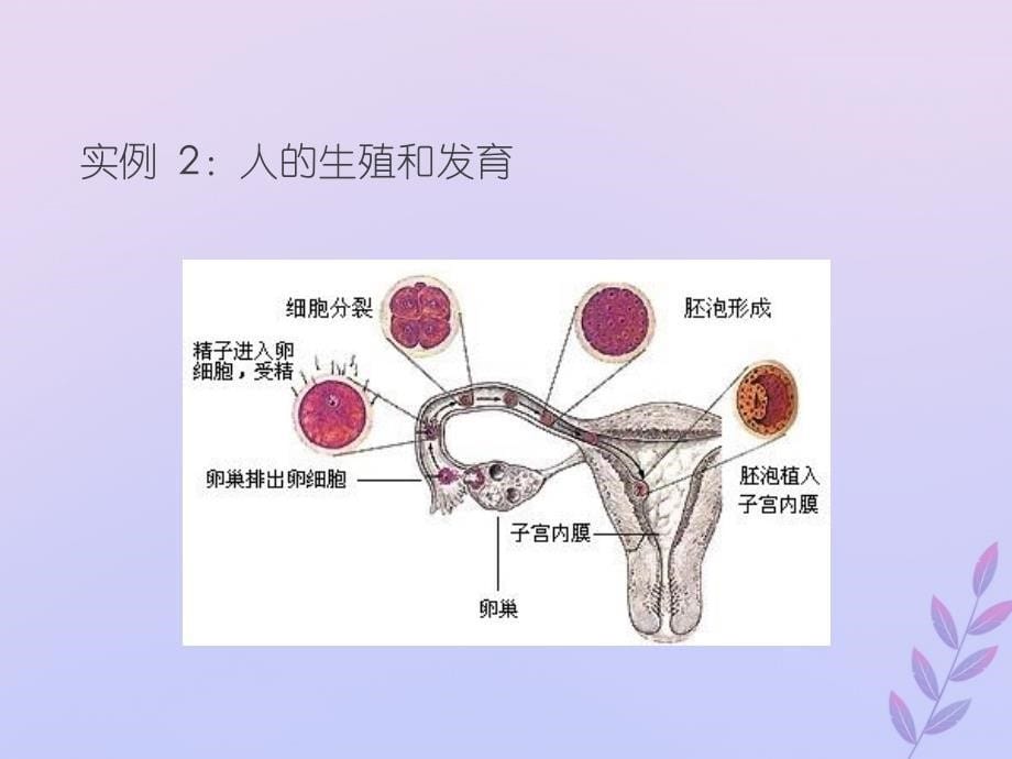 高中生物专题01从生物圈到细胞同步课件新人教版必修1_第5页