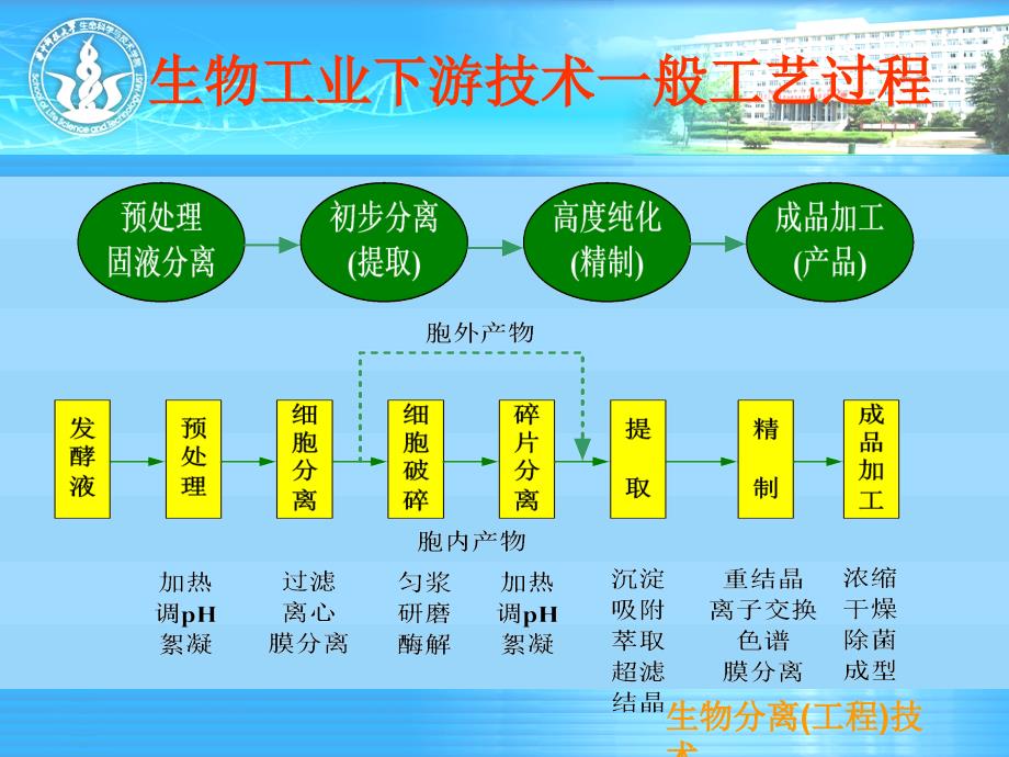 4生物分离工程技术第四张细胞破碎技术_第1页