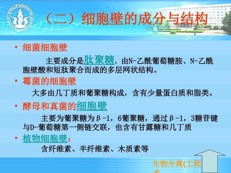 4生物分离工程技术第四张细胞破碎技术_第5页