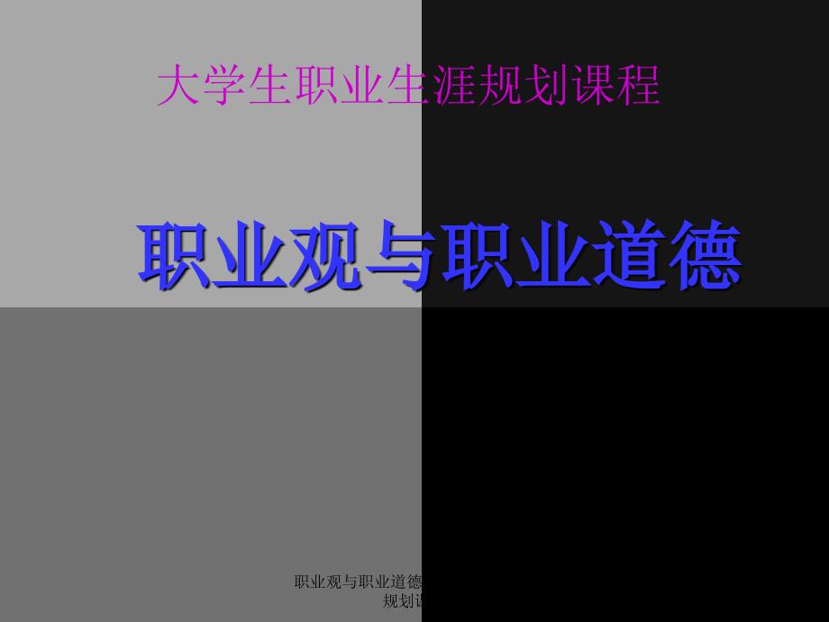 职业观与职业道德大学生职业生涯规划课程课件_第2页