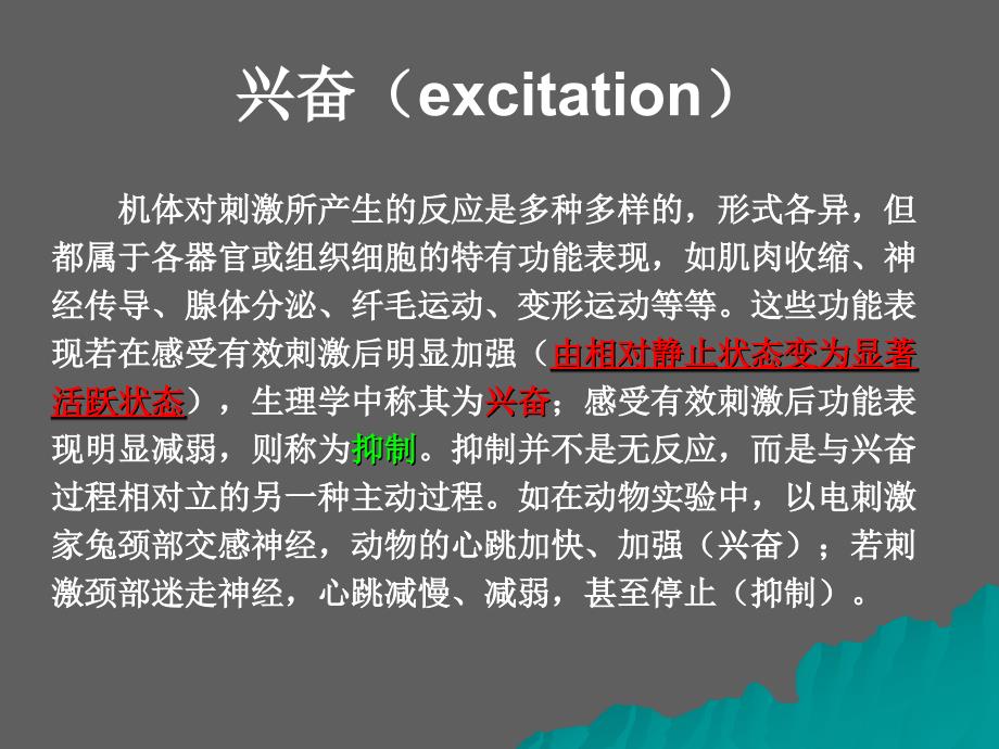 高中生物核心概念高考复习课件兴奋在神经元上产生传导和传递_第3页