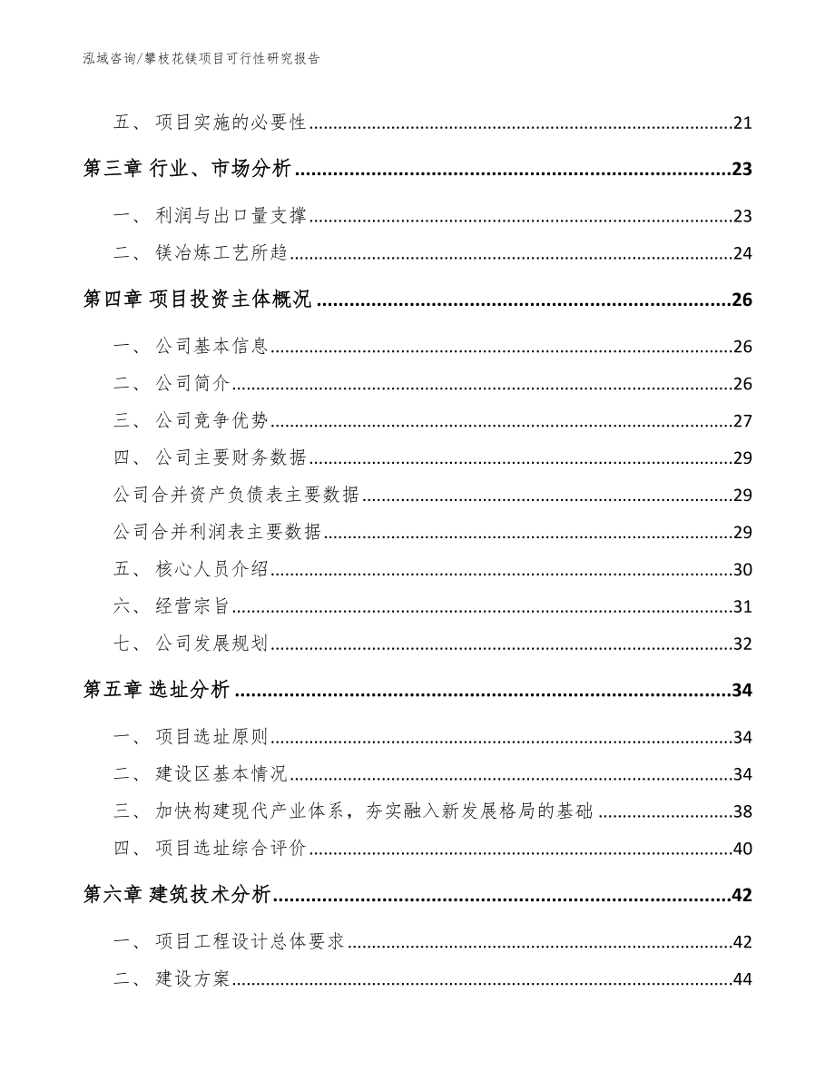 攀枝花镁项目可行性研究报告_第4页