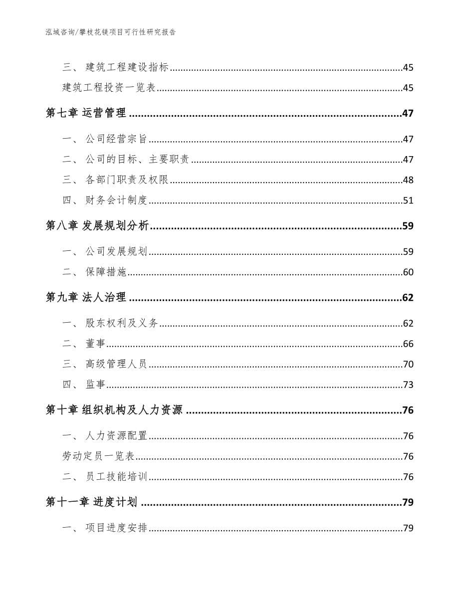 攀枝花镁项目可行性研究报告_第5页