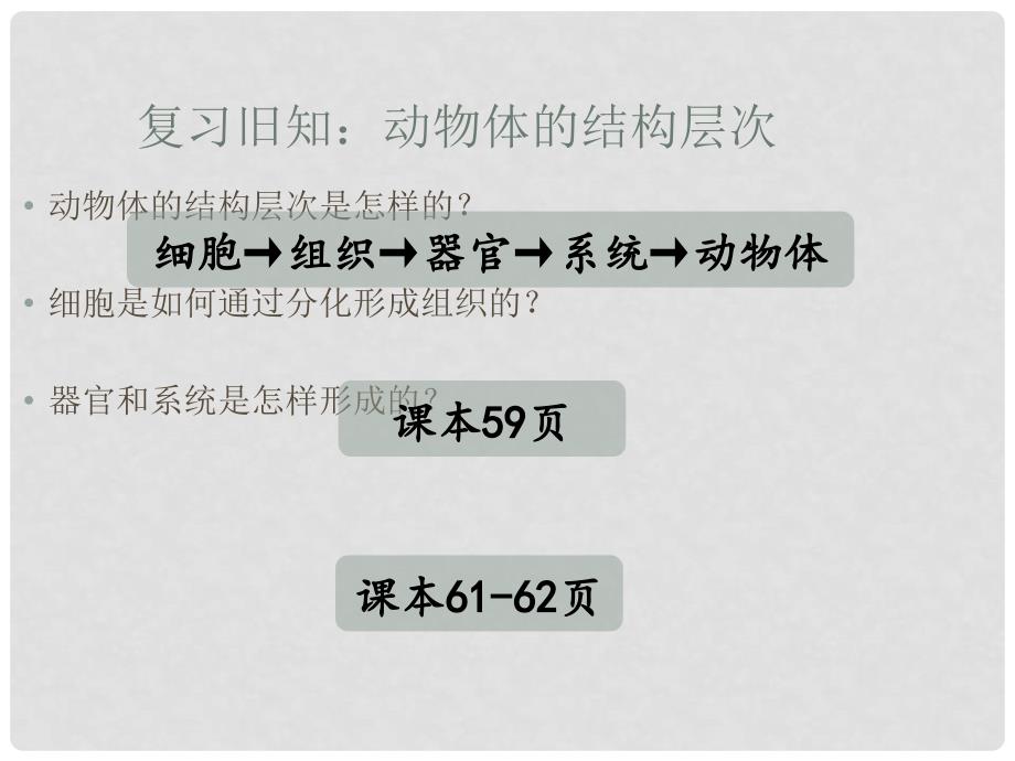 广东省汕头市七年级生物上册 第二单元 第二章 第三节《植物体的结构层次》课件 （新版）新人教版_第1页