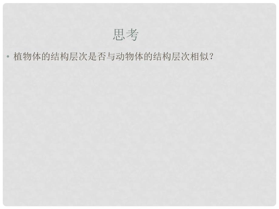 广东省汕头市七年级生物上册 第二单元 第二章 第三节《植物体的结构层次》课件 （新版）新人教版_第2页