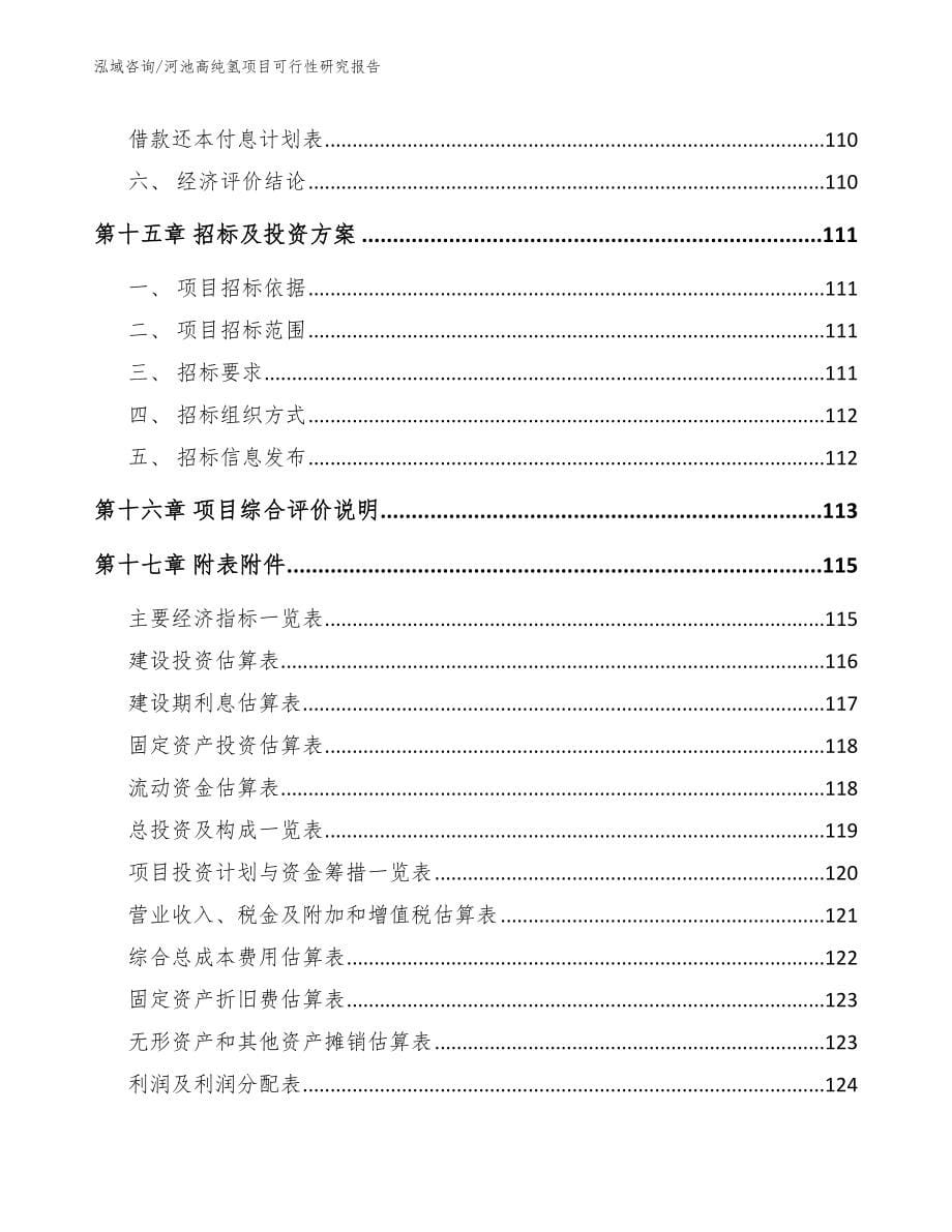 河池高纯氢项目可行性研究报告_第5页