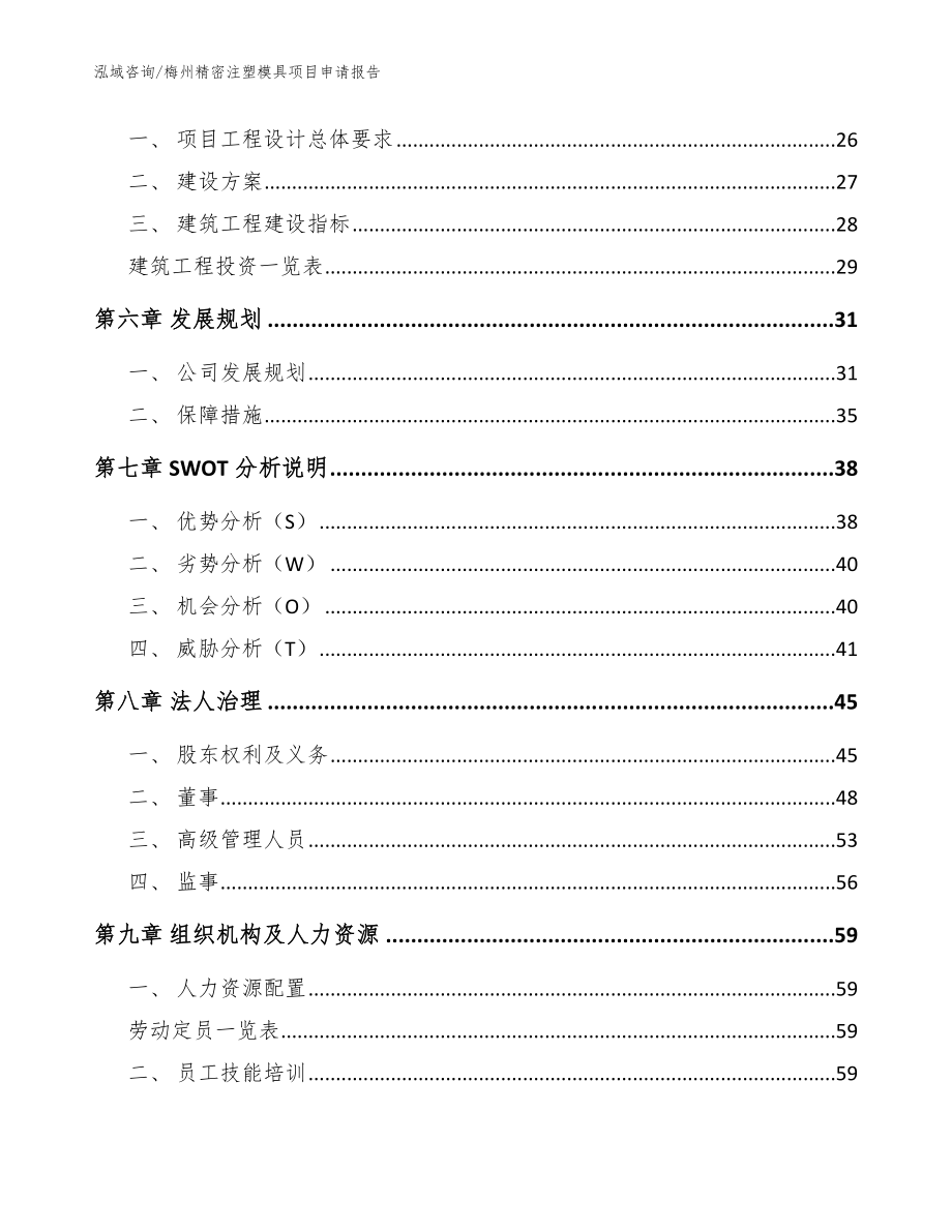 梅州精密注塑模具项目申请报告【模板范本】_第2页