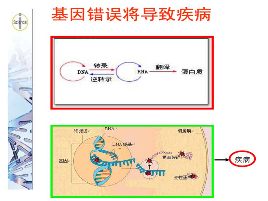 感染性疾病的分子诊断课件_第2页