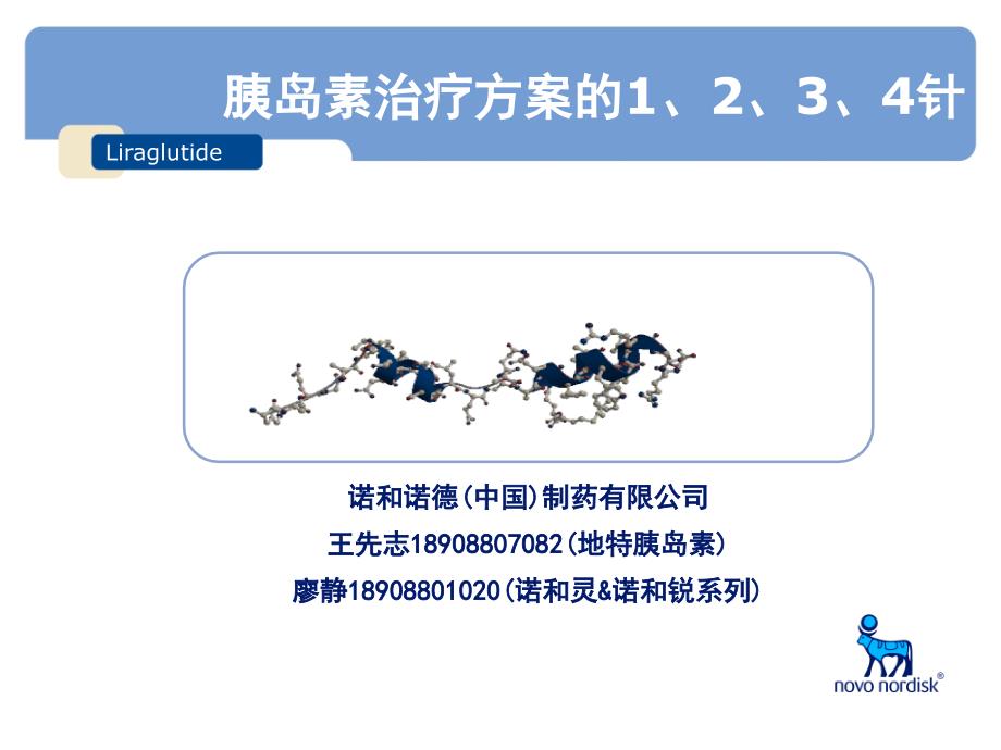 胰岛素治疗方案的1234针行业特制_第1页