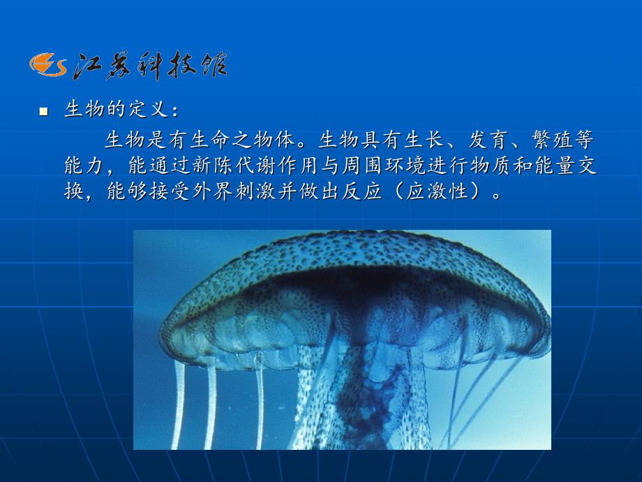 快乐科学科普场馆动手实践活动教案_第4页