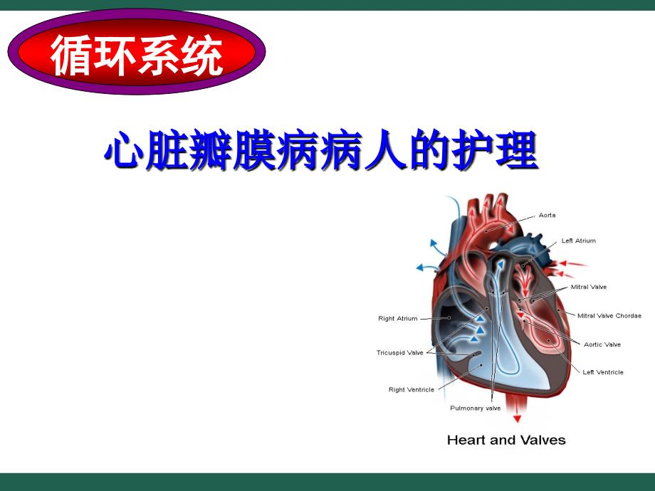 心脏瓣膜病病人的护理ppt_第1页